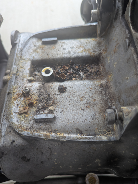 Evidence of Mice